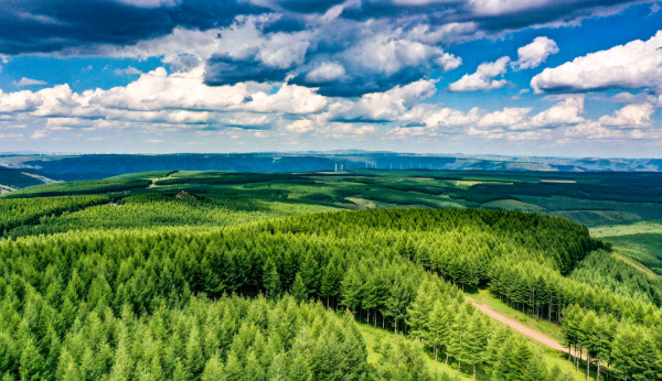 关志鸥代表:心怀“国之大者?建设美丽中国 关志鸥代表:心怀“国之大者?建设美丽中国